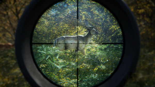 theHunter Call of the Wild Pre-Installed