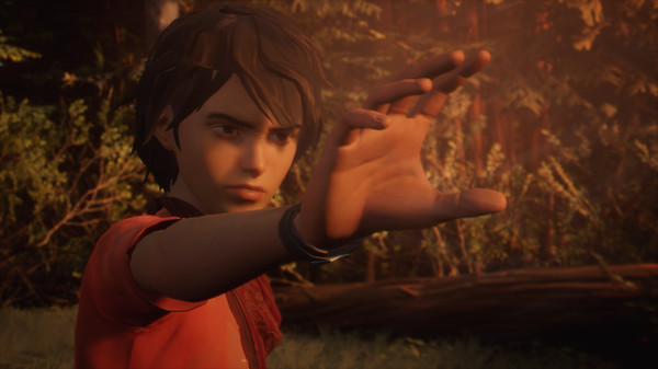 Life Is Strange 2 PC Games