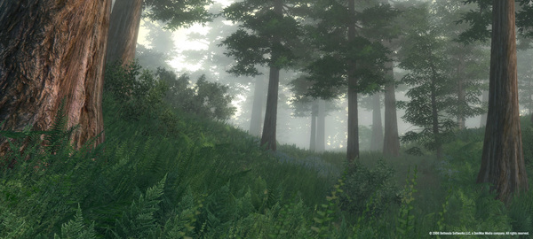 The Elder Scrolls IV Oblivion PC Games