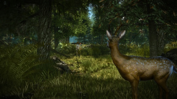 The Witcher 2 Assassins Of Kings Enhanced Edition Direct Download