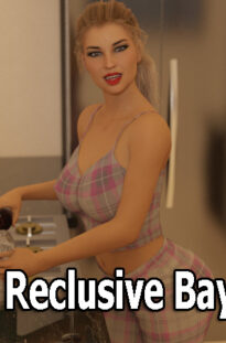 Reclusive Bay PC