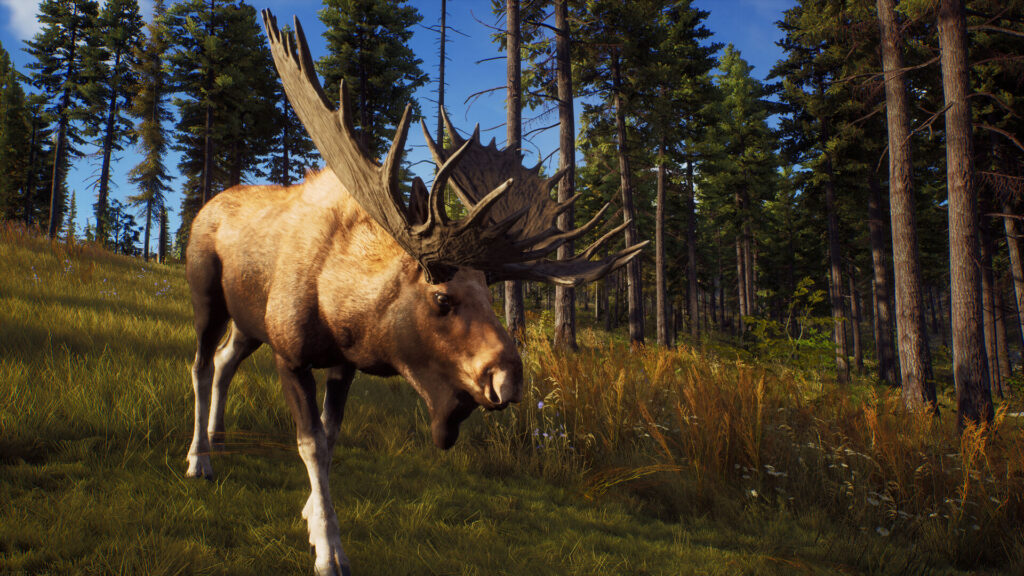 Way of the Hunter Direct Download