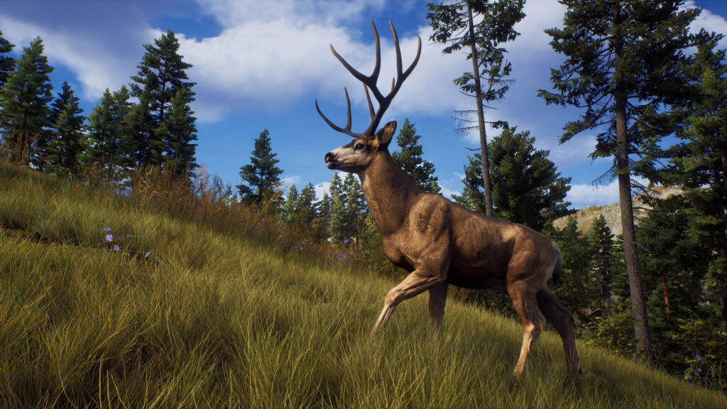 Way of the Hunter Direct Download