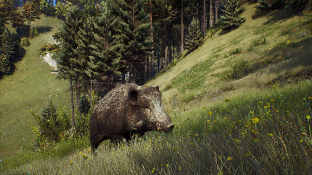 Way of the Hunter Direct Download