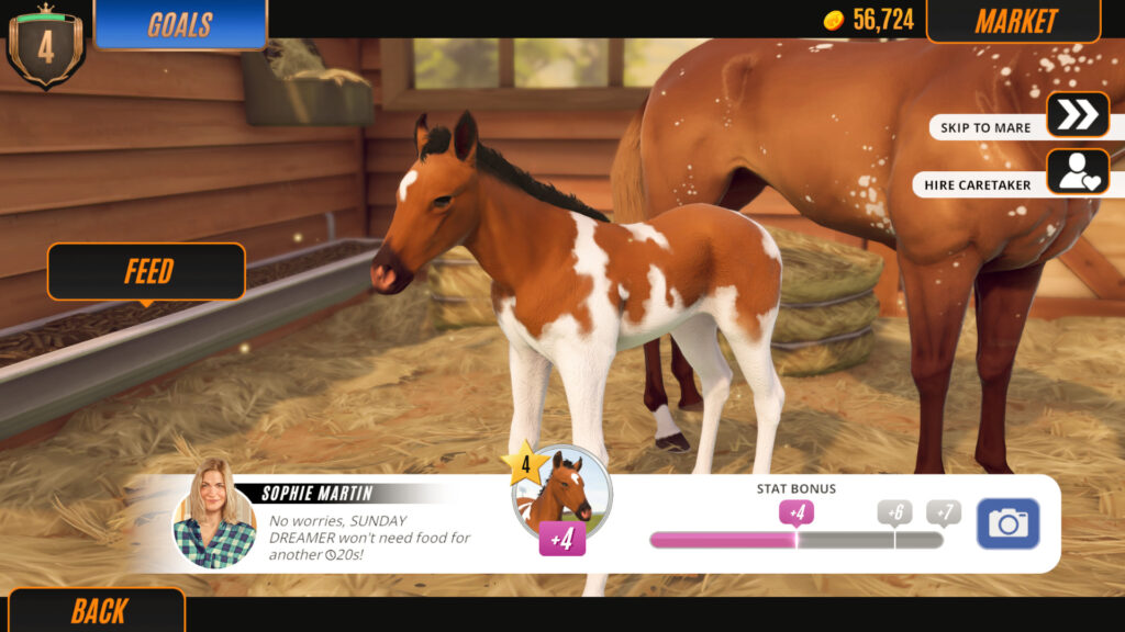 SCREENSHOTS 4