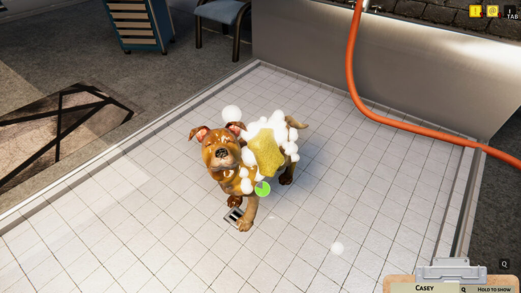Animal Shelter 1