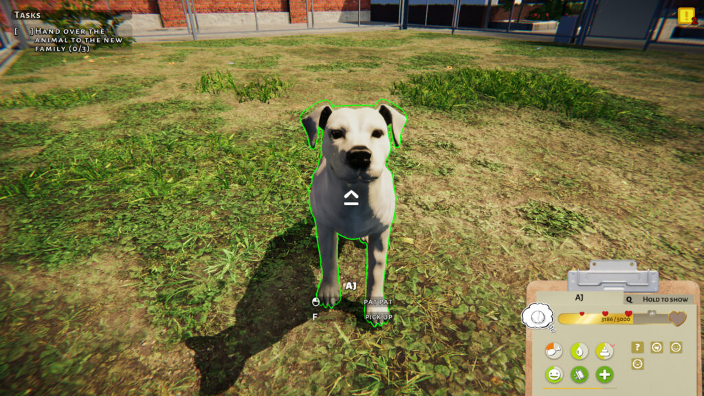 Animal Shelter 2