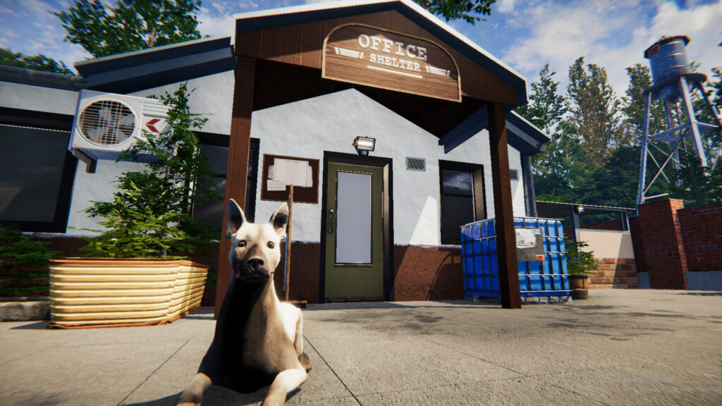 Animal Shelter 4