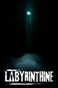 labyrinthine 5