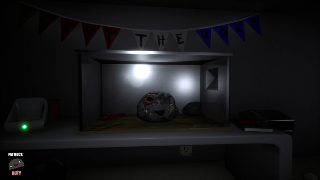 pet-rock-duty_0
