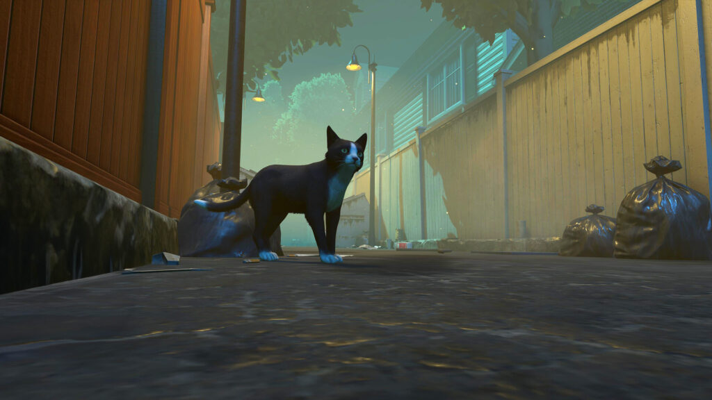 copycat_0