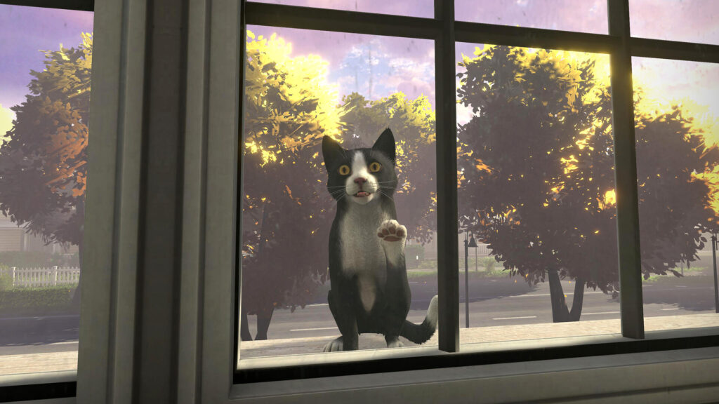 copycat_3