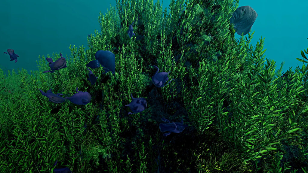ecosystem_3