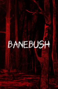 banebushfeatured_img_600x900