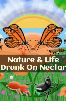 nature-and-life-drunk-on-nectarfeatured_img_600x900