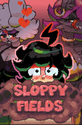 Sloppy Fields 5