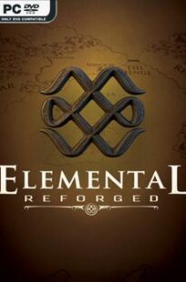 Elemental Reforged 6