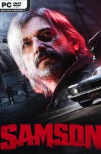 Samson 1