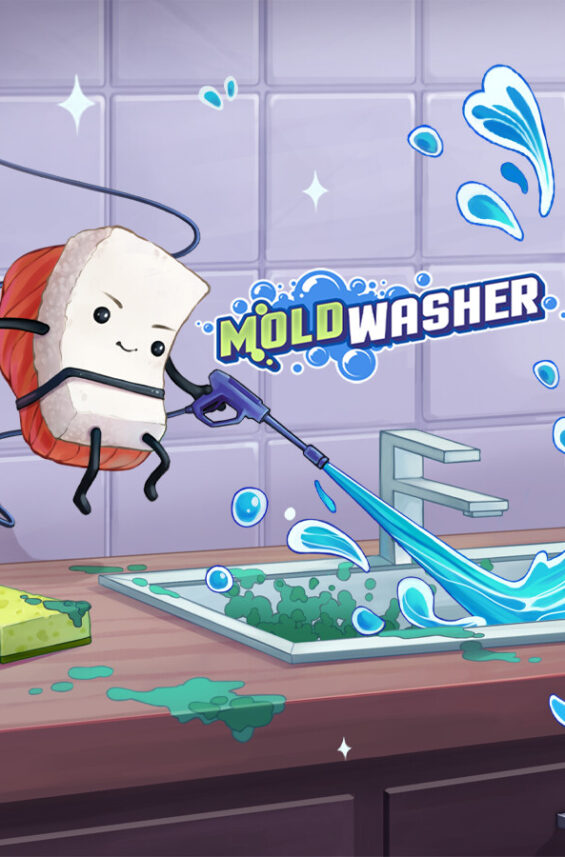 Moldwasher 6